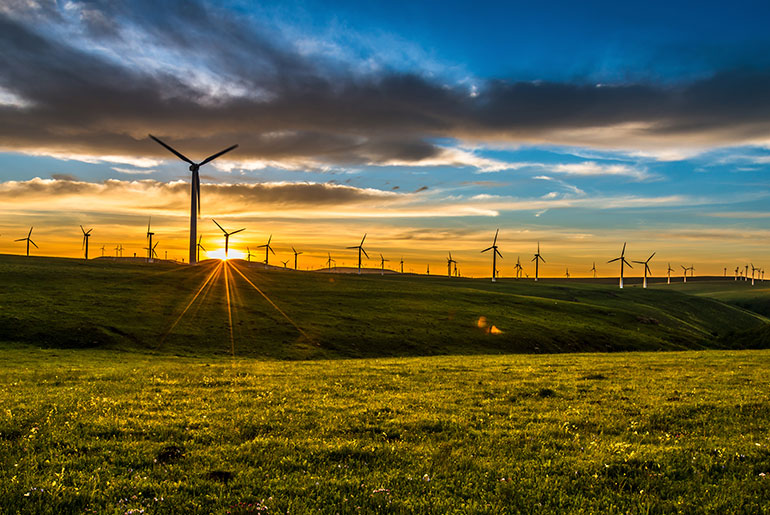 Wind turbines in a field with sun setting down.