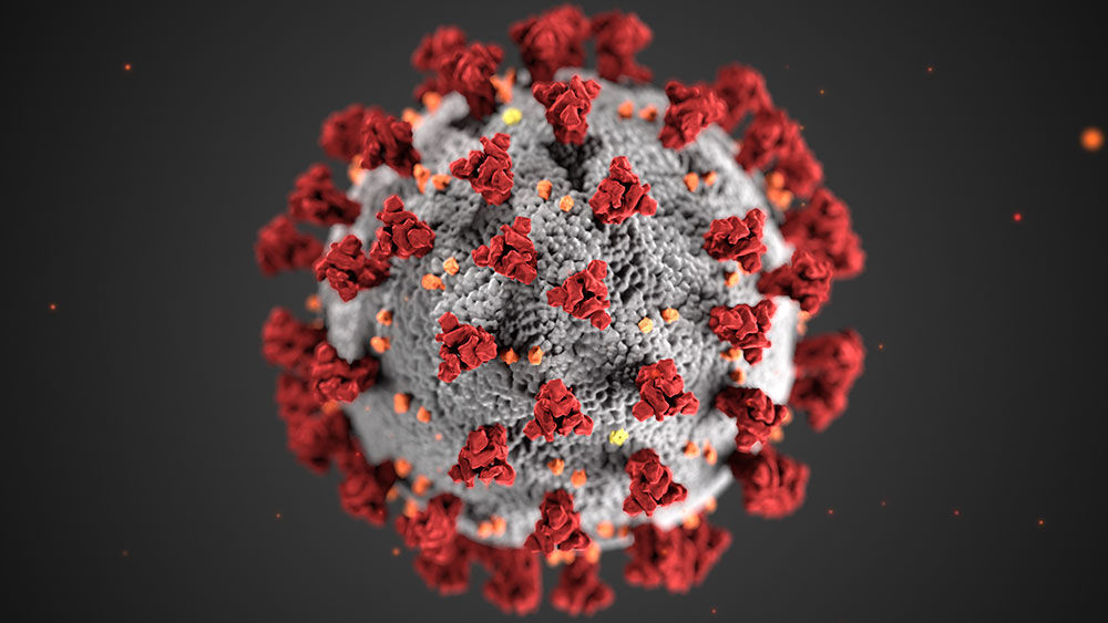 microscopic image of coronavirus
