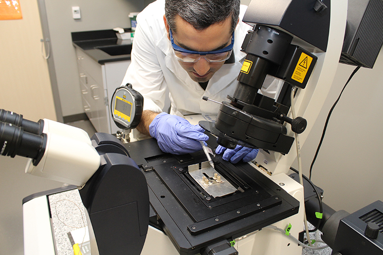 Researcher setting up content for microscope