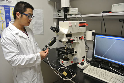 A male researcher in lab coat using differential scanning calorimetry.
