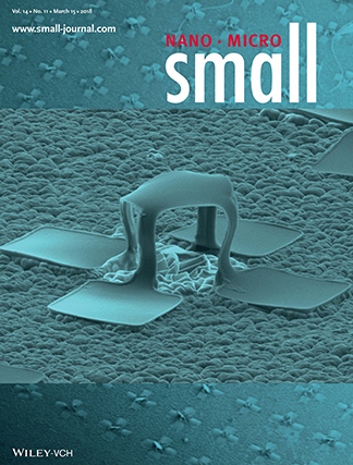 Book cover with words NANO.MICRO small by Wiley-VCH