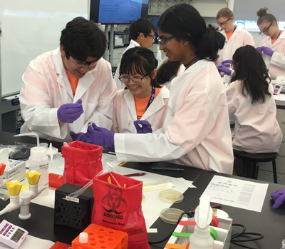 Students of BioForce working in a lab