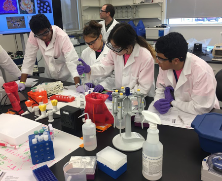 Students of BioForce working in a lab