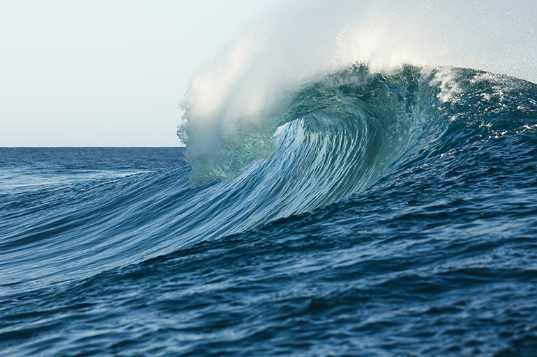 Wave of the ocean.