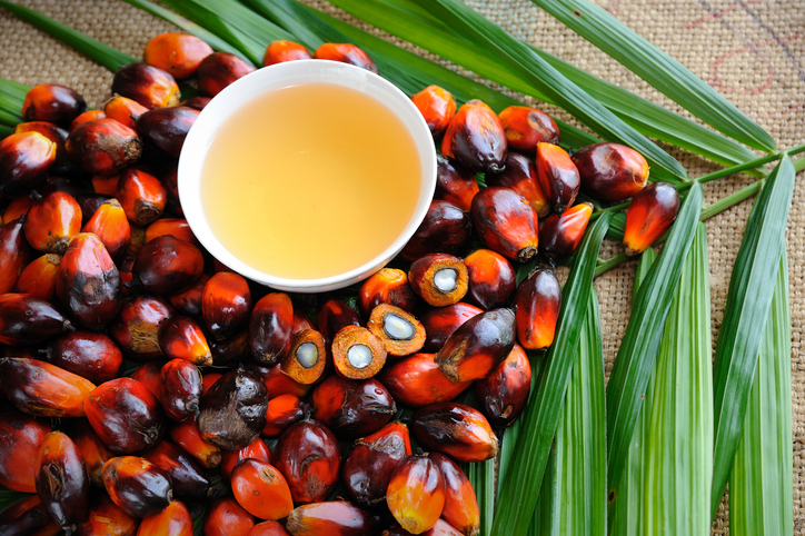 Palm fruit and oil