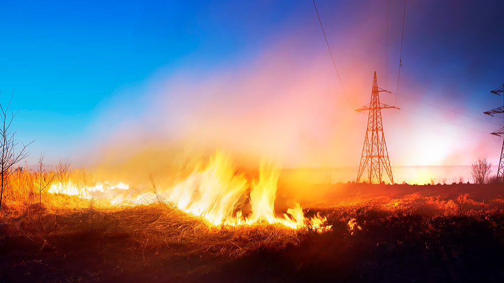 Burning grass in a field with power lines to the right.