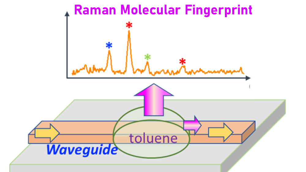 A schematic showing how the optical waveguide works. Aluminum nitride optical waveguide carries the laser beam to a test sample. Scattered light from the sample reveals the Raman molecular fingerprint.
