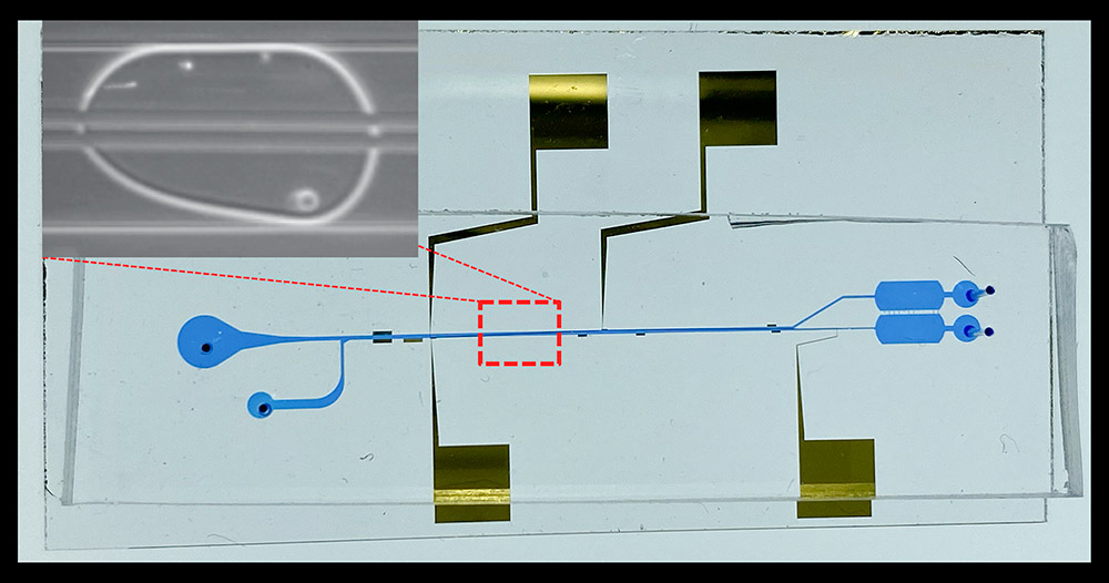 New microfluidic device showing microscopic electrodes