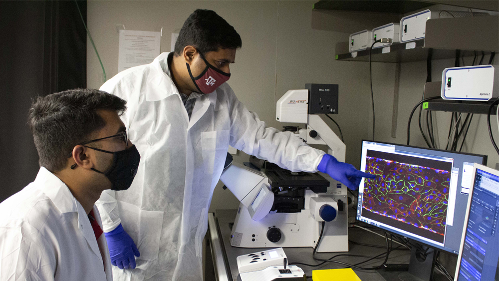 Two researchers look at microscope image on a computer screen.