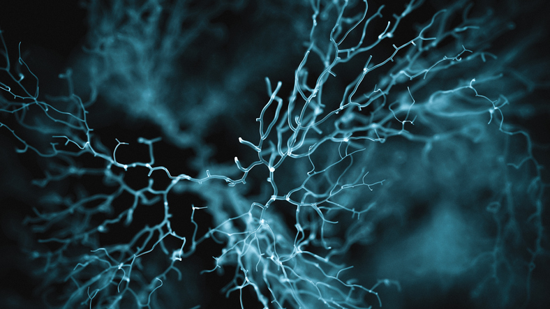 3D rendered image of cell network on a black background