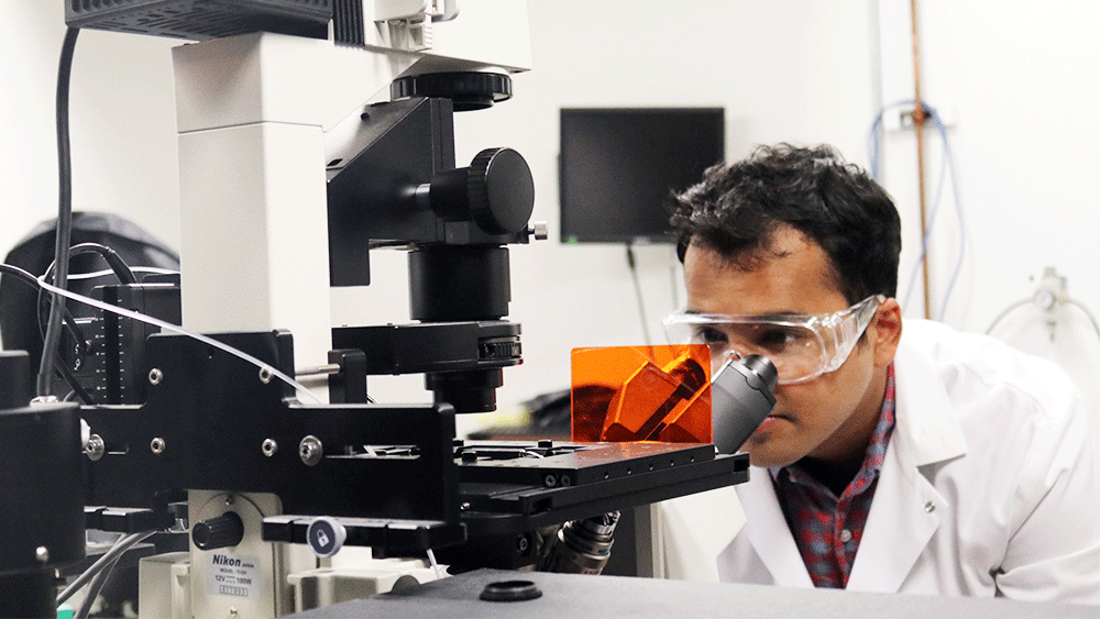 Graduate student using a microscope.